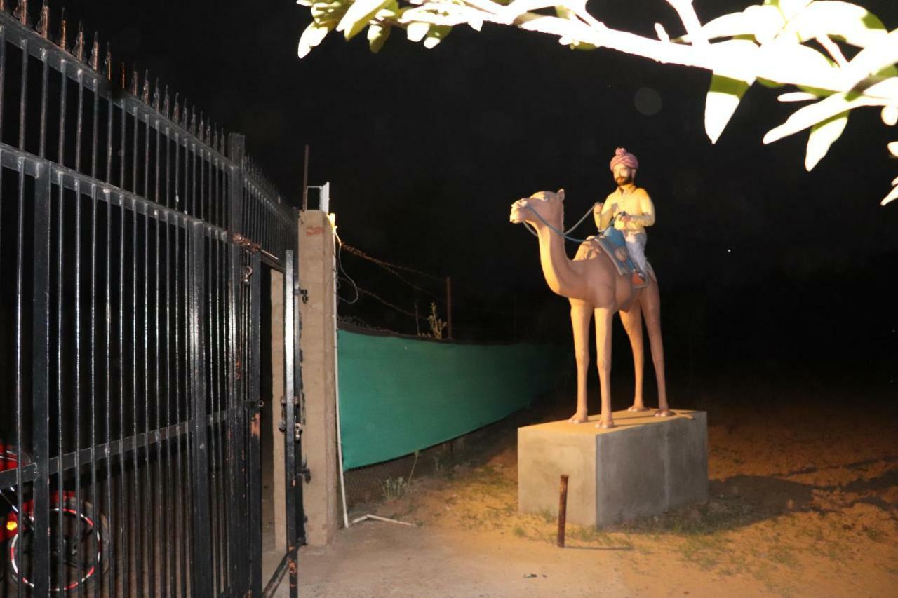 Desert Nights Mandāwa Exteriér fotografie
